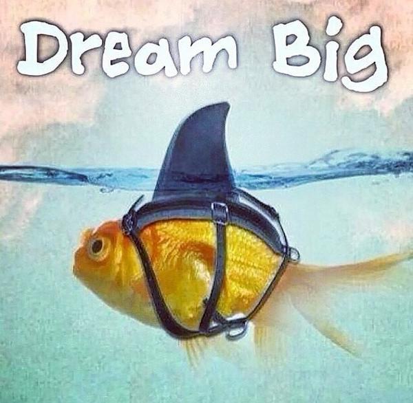 Waynejackson88's tweet image. #SharkWeek2014 #SharkWeek #favoriteweek