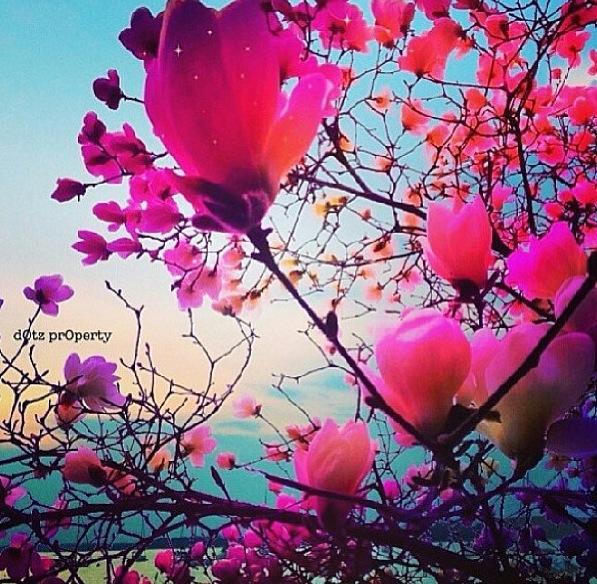 oralna3m (@sba7sa3eed) on Twitter photo 