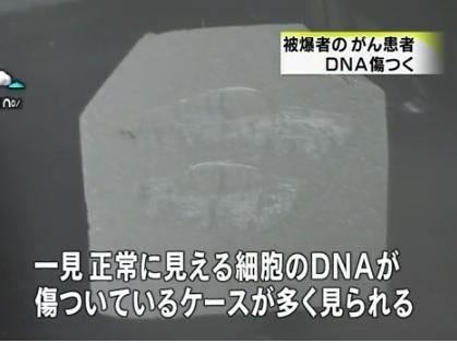 Twitterで画像を見る Twitterで画像を見る
