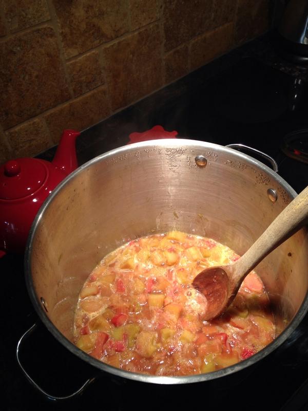 brianacalder's tweet photo. Rhubarb: the antithesis of cheese. http://t.co/1lvCGHM1ev