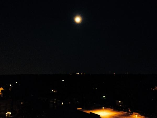 creativecadence's tweet image. Happy Super Moon. 

youtu.be/nhSc8qVMjKM
#WarrenZevon #WarewolvesOfLondon