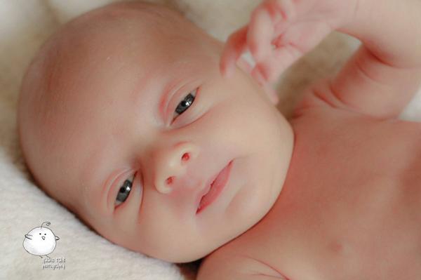 QuailsTale's tweet image. New born session #photography #baby #cutestkid