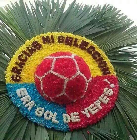 Capitantolu's tweet photo. Gracias Yepes!  Eso fue gol de mi selección! @stevenarce @prensapaisa @prensarola @CanecaHumor http://t.co/byngukSaRJ