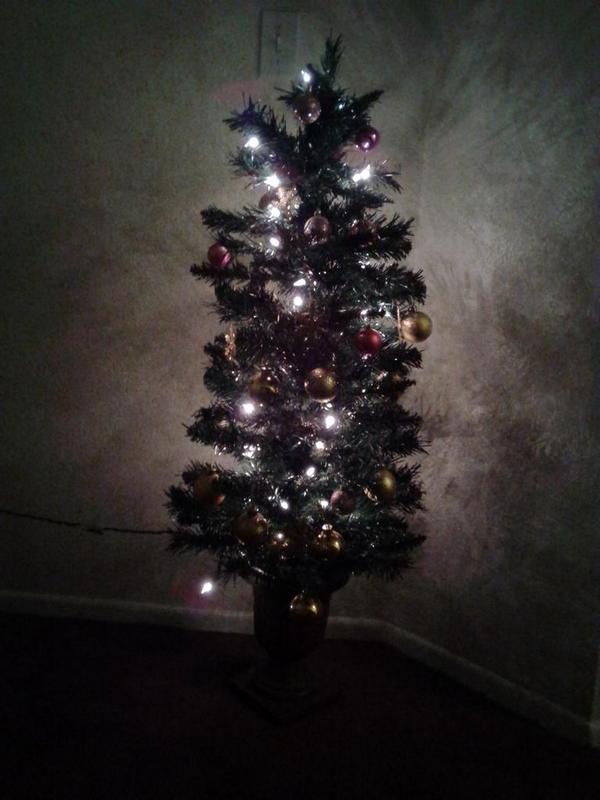 GettinKirked's tweet image. It&apos;s a #Christmas miracle in August! #freechristmastree #christmasmiracle #winning #CasaDeAshEm