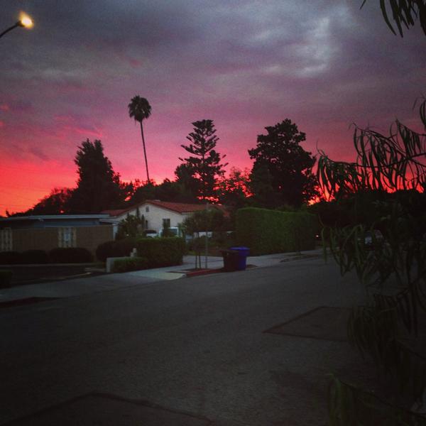 Malenka Design tweet media