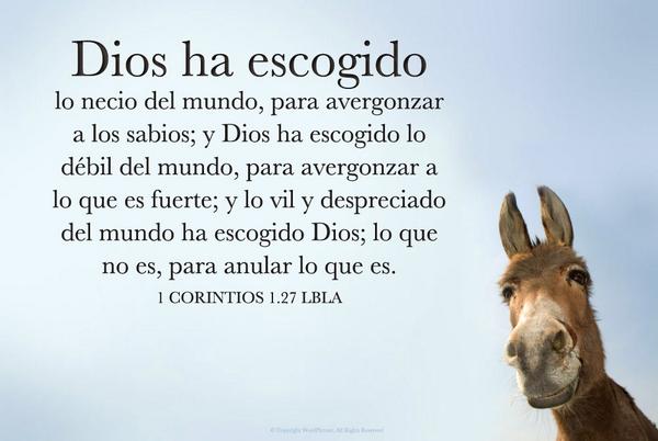 7LuisCruz's tweet photo. Cuando la sabiduría entra en tu corazón .La discreción te guardará;Te preservará la inteligencia http://t.co/wUXOiJHd8l