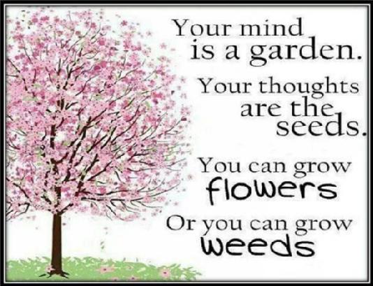Your Mind Is A Garden Quote Patience Quotation On Twitter: "*Your Mind Is A Garden, Your Thoughts Are  The Seeds, You Can Grow Flowers, Or You Can Grow Weeds* #Quotesoftheday  Http://T.co/Wvnbuhkjwg" / Twitter