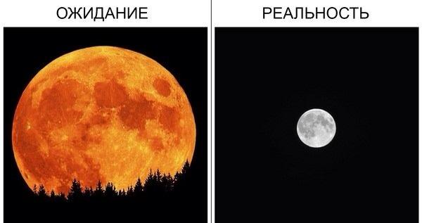 ARTEM_KLYUSHIN's tweet photo. #Суперлуние :) http://t.co/tavRAqZ33t