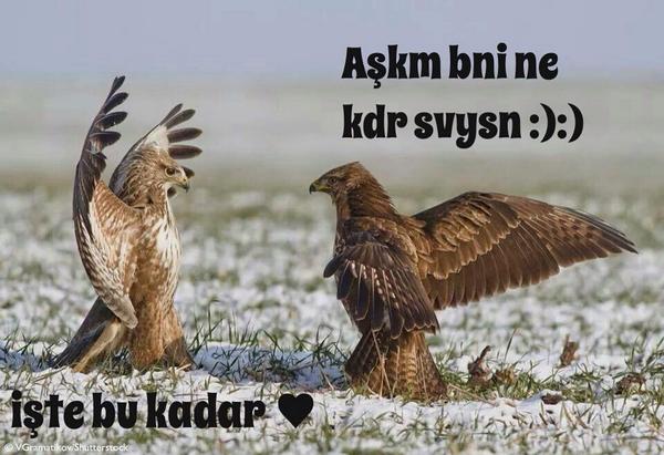 İşte bu kadar 😃😃