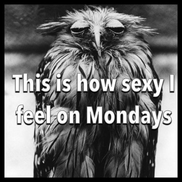 ManuelTorresGDL's tweet photo. Si te sientes igual de sexy hoy, mejor ven a Manuel&amp;Torres y te consentimos para mejorar tu lunes. http://t.co/NQfXDoZk0Z