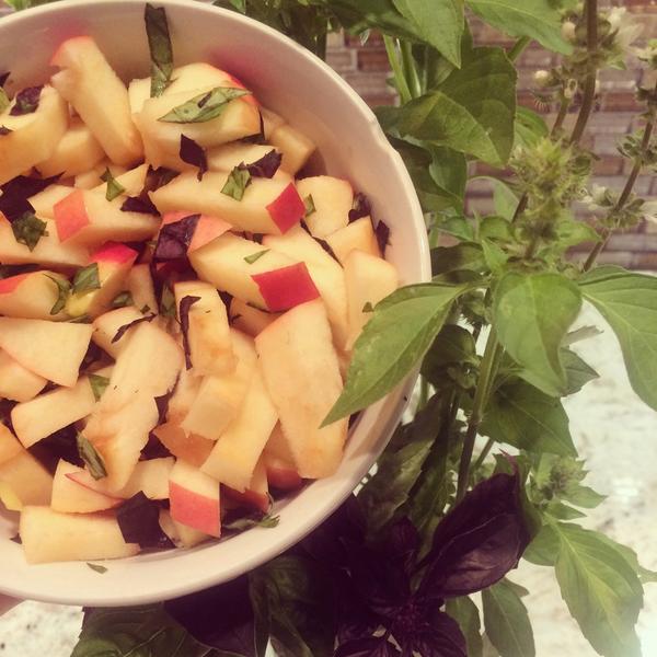 Egarvz18's tweet photo. Fresh basil w/ Fuji apple #delicious #creativecombinations #gardentotable #organic #vegansnack http://t.co/SEMHHlx66L