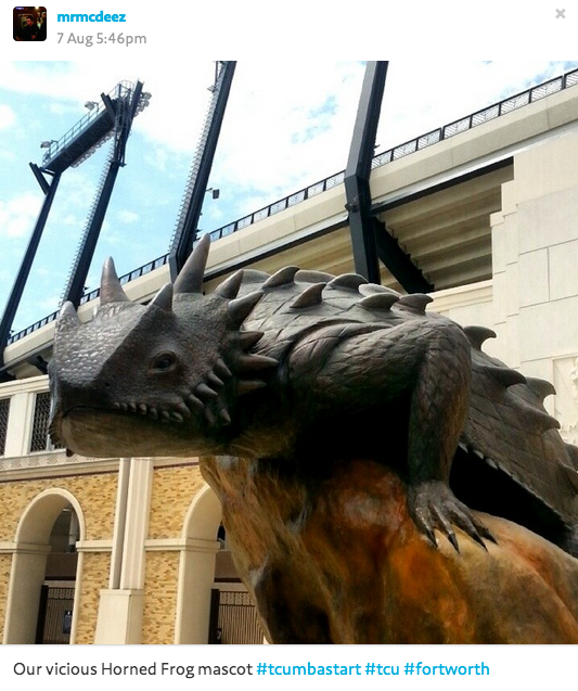 TCU_MBA's tweet image. Thanks for sharing this awesome Instagram of our vicious Horned Frog at Amon G. Carter, @mrmcdeez! #TCUMBAstart