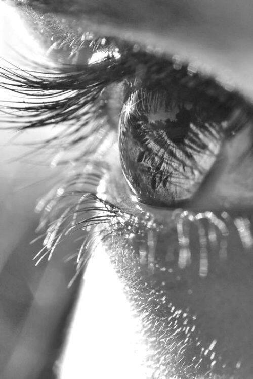 Es gibt schweigsame Menschen, die interessanter sind als die besten Redner..☆★☆

-Benjamin Disraeli-