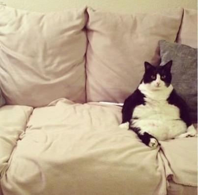 SvenRuygrok's tweet photo. current mood... http://t.co/PtkS5xAsoT