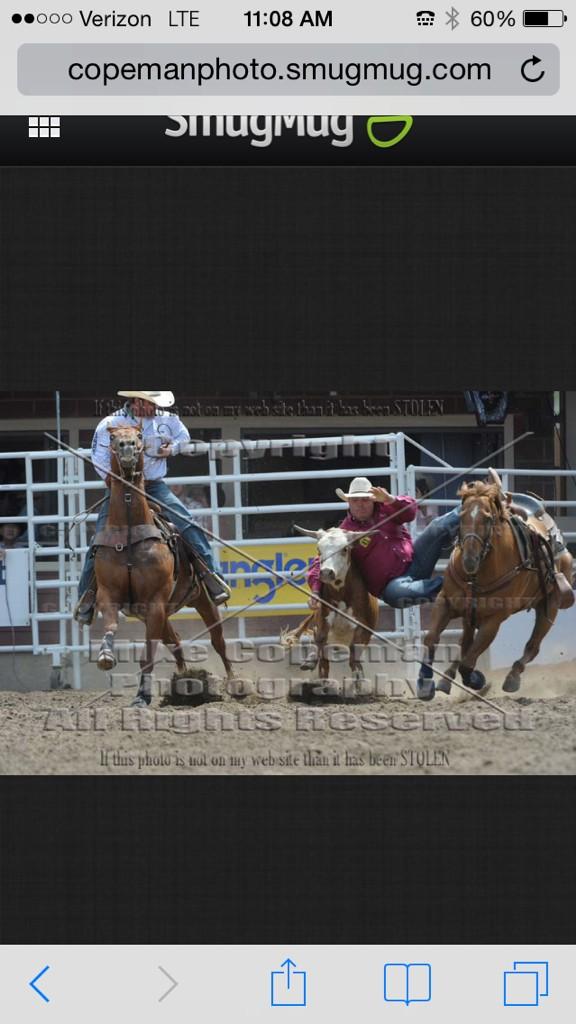 curtis_cassidy's tweet photo. Sorry to hear about Straws Milan's horse Jimmy passing away today! RIP http://t.co/f5WYX3JwxK