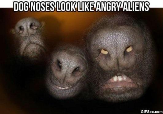 MuayThaiJody's tweet photo. They kinda do... #AngryAliens http://t.co/suhPXmVXUT