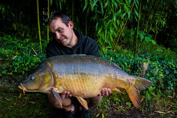 BenoitCorbet's tweet image. Le rêve dans une foret de Bambou !!!! ;) 

@eurocarpe 
#EuroCarpe #RigMarole #AtomicTackle #JAGProducts #MadBaits