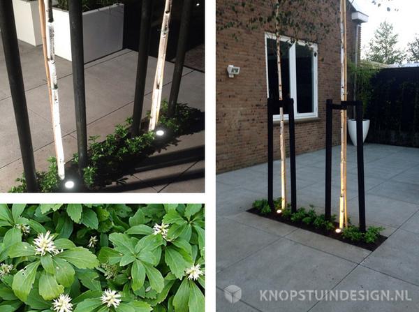 InfoKnops's tweet image. Moderne bedrijfstuin @ Breda Princenhage. 

Door @InfoKnops