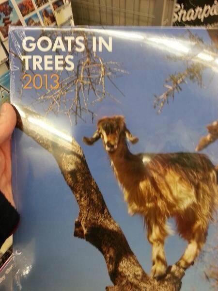 GeorgeArcher21's tweet photo. @davidwforde found your calendar mate http://t.co/Tly9fB5hG8