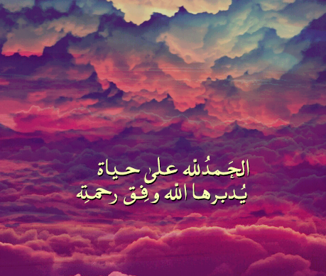بآسل بن سهيل tweet media