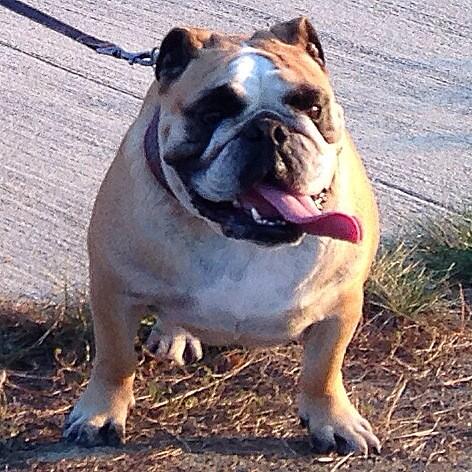 maxfoster24's tweet image. Buenas noches!!!!!!!