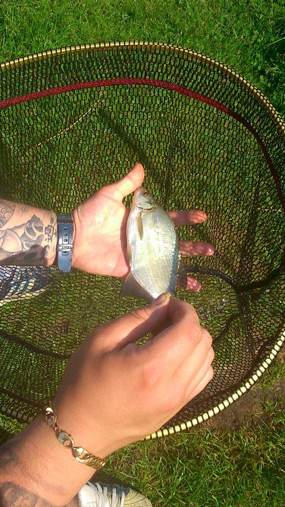lisalump's tweet photo. @QuestTV #robsononquest 
name:Michael Hudson; 
location:York, UK; 
type: skimmer

Took hours to reel this bad boy in! http://t.co/pp2YAhNWM9