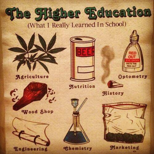 ThoughtsEndless's tweet image. 