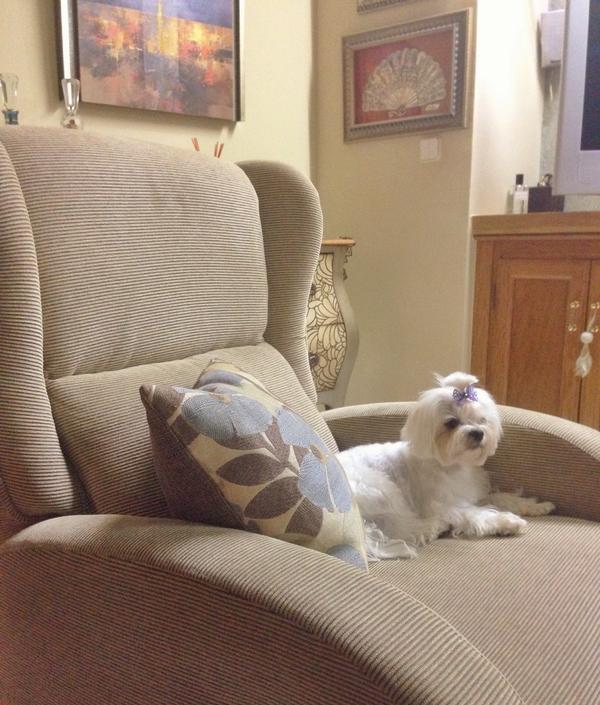 La reina de la casa!!!