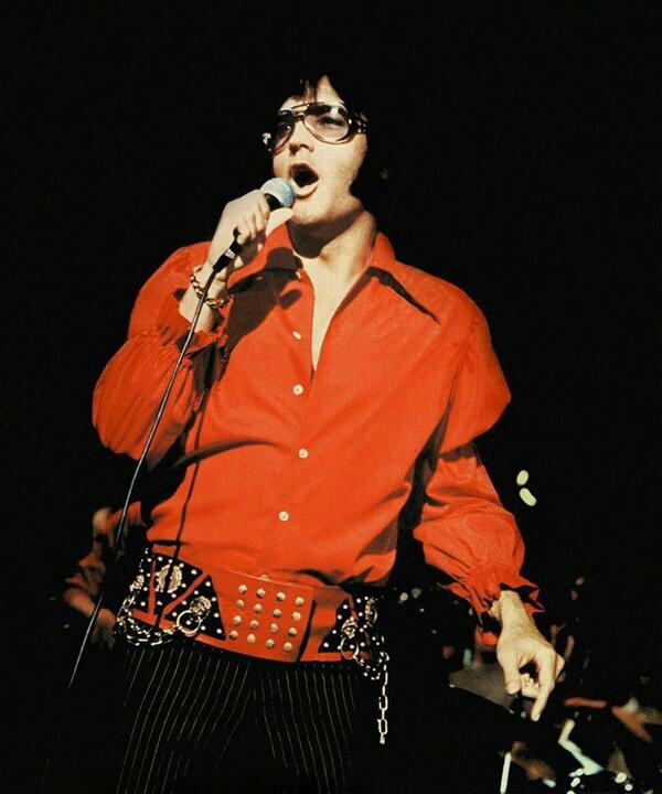 ElvisPresleyHOT's tweet photo. #ElvisWeek2014 is starting! Fans have a nice Elvis week!! http://t.co/e06BgP8d61