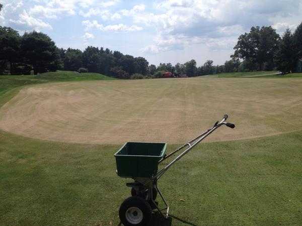 Aerifying greens and tees, topdressing, fert, and fwys next week. Plus reshaping bunkers.