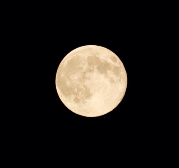 Madd Ghost tweet media