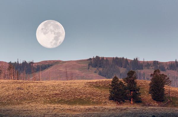 YellowstoneNPS's tweet photo. Last night's #supermoon looms large as it sets behind Specimen Ridge in Lamar Valley. http://t.co/frN6wSt6vf