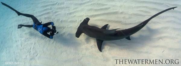 Annie Guttridge tweet media