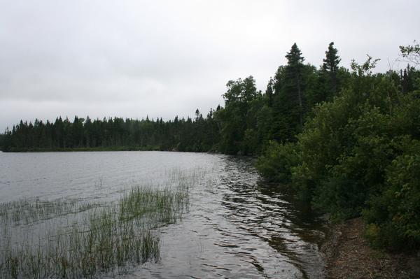 GanderTri's tweet image. Conditions are looking fresh at Jonathan's Pond after 100+mm this past weekend.