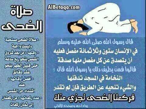#صلاة_الضحى ♥️
صلاة الأوابين ، وتعدل ٣٦٠ صدقة بعدد مفاصل أجسامنا ، وقتها من بعد الشروق إلى قبل الظهر وأقلها ركعتان