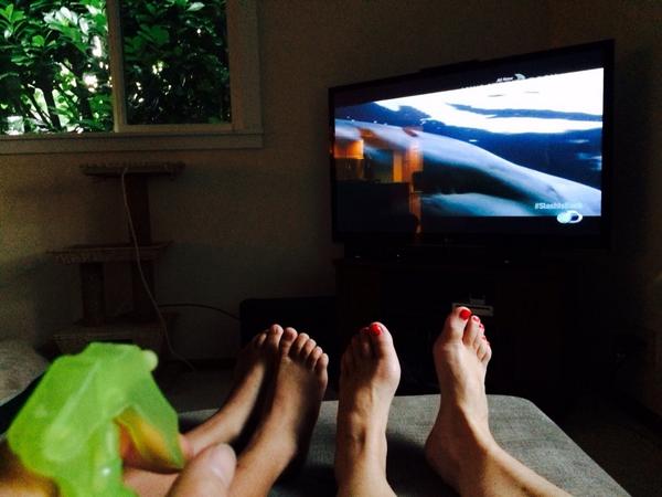 sailingfield's tweet photo. Keeping cool in #seattle by watching #sharkweek #slashisback http://t.co/v2CaW3uGr1