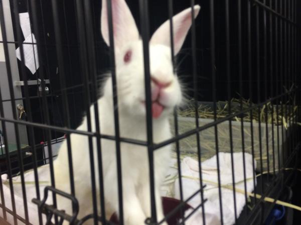 TylerCamera's tweet image. #Minigyro