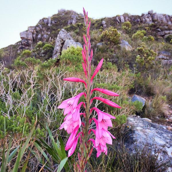 New track will be out on Friday!