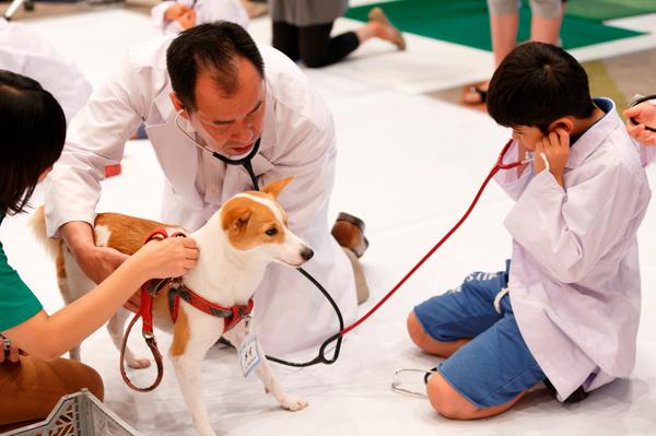 Centro veterinário - Página 2 Bv-DaQ5IYAE-xgd