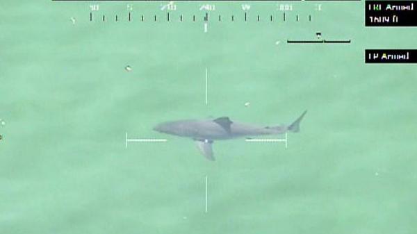 YesWeekWhitney's tweet image. Shark is like, do I smell or something? “@WXII: Trending: Beach evacuated after shark spotted bit.ly/1q1xDzr http://t.co/A4Se9Dquhe”