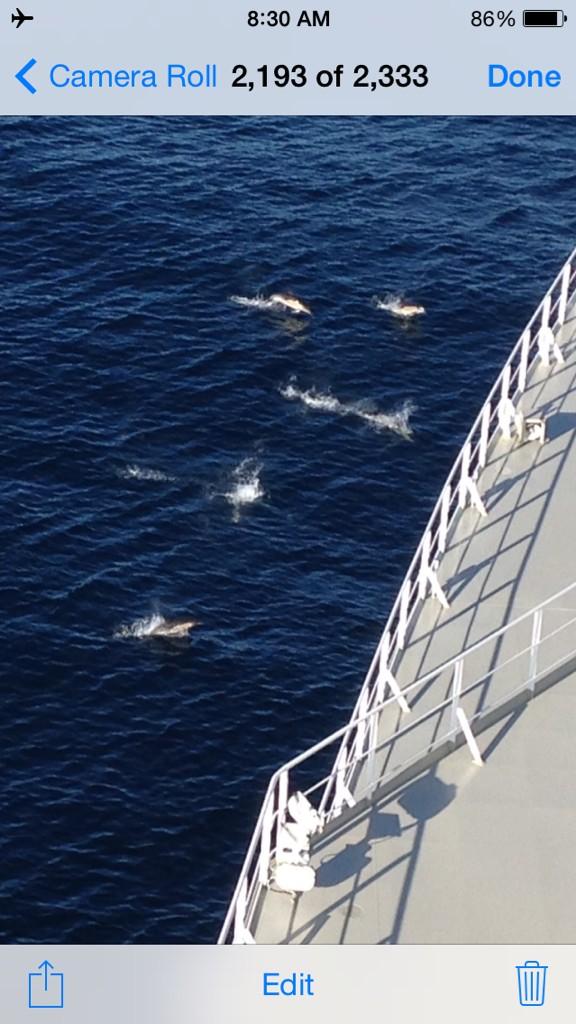 BCSSliteracy tweet media