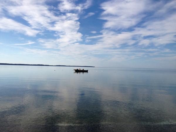 CreativeCounty's tweet image. An enviable job on the picture perfect lake. Prince Edward County commercial fisherman bringing in catch of the day.