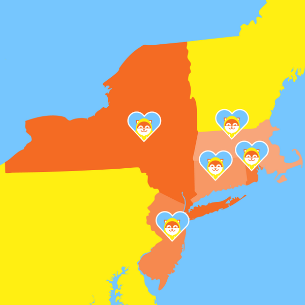 ponchoIRL's tweet photo. I’m available! In NY, NJ, MA, CT, and RI that is. You’re a good person, tell all your friends to sign up at poncho.is http://t.co/bSFbkI6HqX
