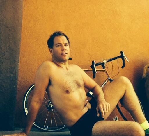 Michael Weatherly Shirtless - Squarehippies.com.