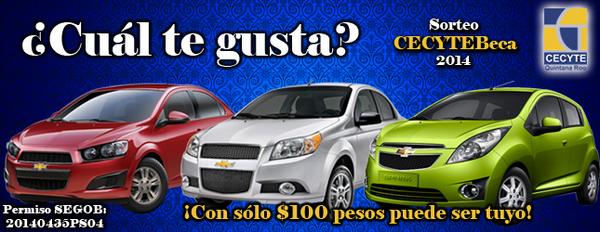 CECyTE_QRoo's tweet photo. ¿Cuál te gusta? @williamhbriceno @ArletMolgoraG @rita_tult @eabuxapqui @e_abuxapqui http://t.co/vklPyG0qxx