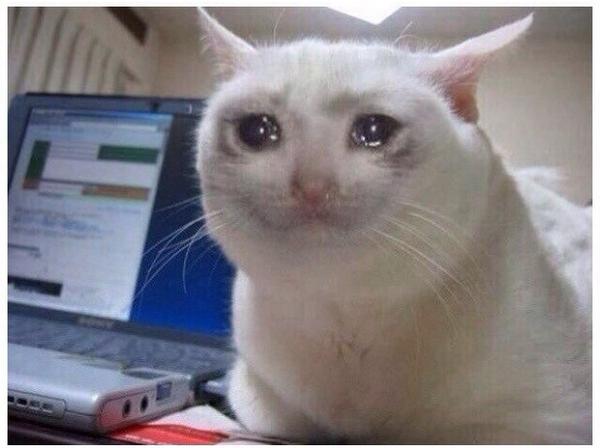 vis545's tweet image. Грустинка напала