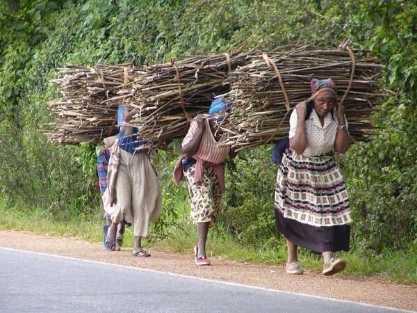 SintesisMexico's tweet photo. Si la riqueza fuera resultado del trabajo duro, todas las mujeres en África serían ricas. http://t.co/G0LghHqdmd