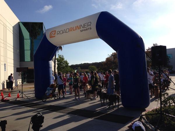 DoggieDoorApp's tweet photo. Showed our support for @k9rescuegsd by running the Homeward Bound 5K @RRSports this morning! #SweatyGoodTime http://t.co/SiSuqXxCKD