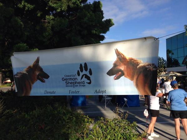 DoggieDoorApp's tweet photo. Showed our support for @k9rescuegsd by running the Homeward Bound 5K @RRSports this morning! #SweatyGoodTime http://t.co/SiSuqXxCKD