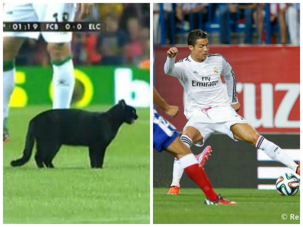 UnAutenticoCule's tweet photo. Decidan
RT Gato
FAV Cristiano http://t.co/rzbXDHbPV0